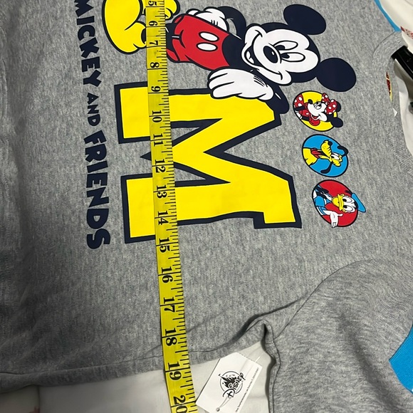 Disney Parks Mickey and Friends Sweatshirt Top - Picture 6 of 8